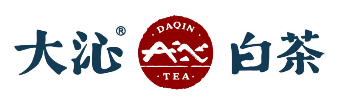 大沁白茶